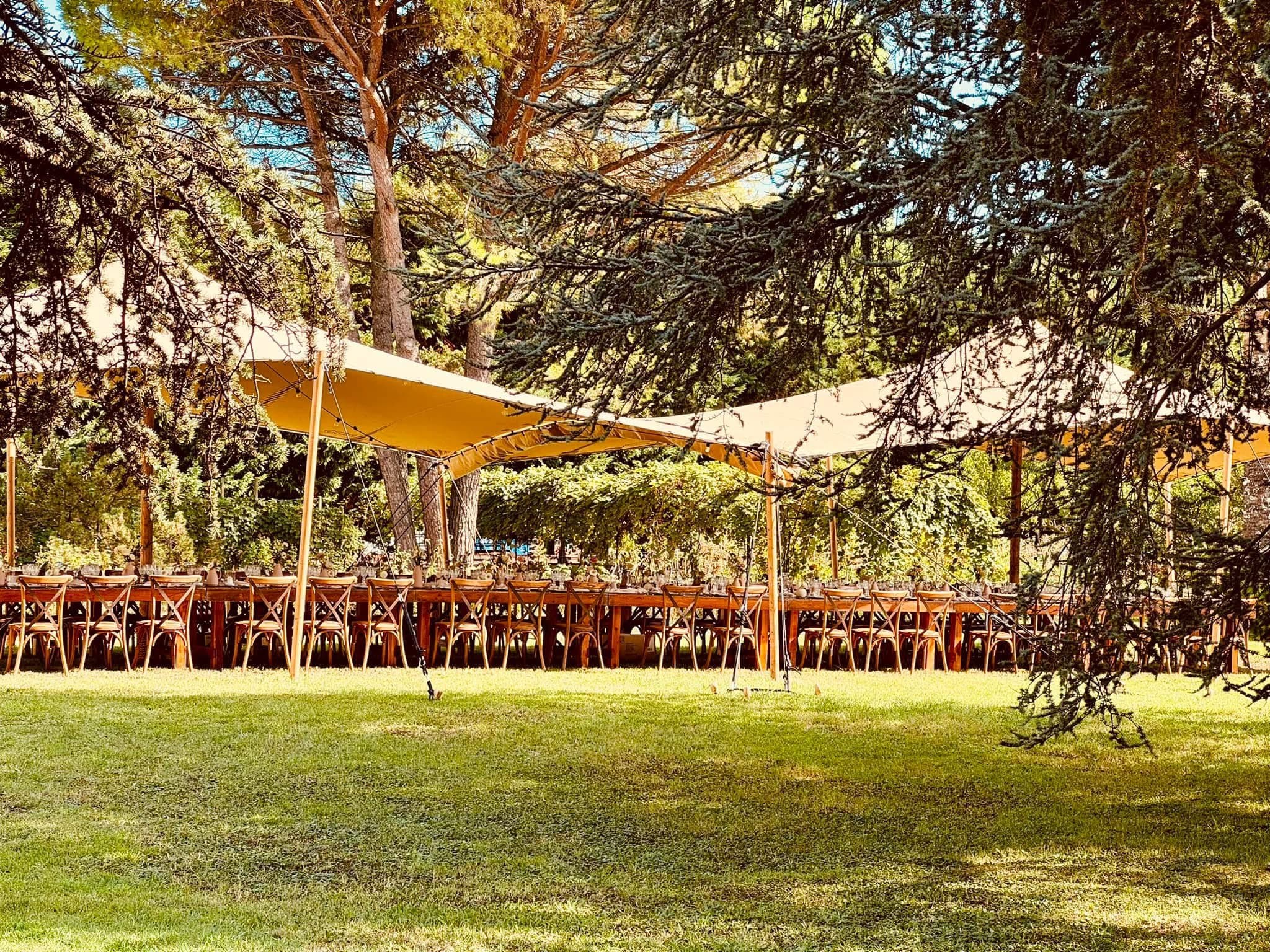 Tensostruttura tra i cedri secolari del parco di Villa Zoppolato, con tavolo lungo allestito